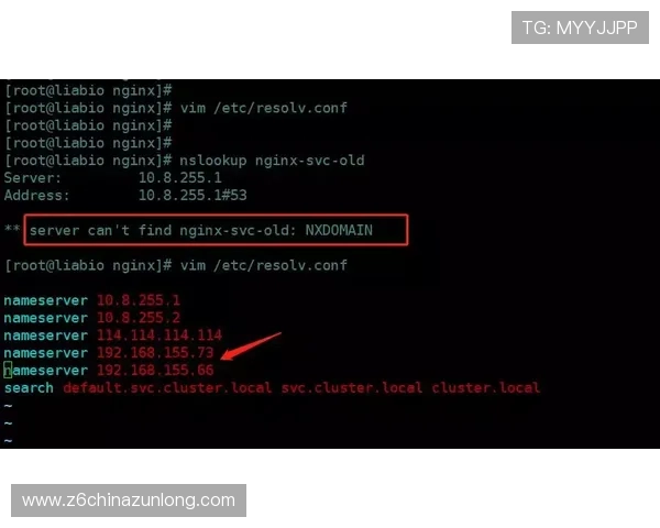 尊龙时凯人生官网电脑版下载安装教程与常见故障排查指南