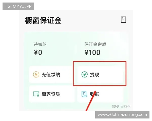 尊龙备用账号充值与提现流程详解，保障玩家资金安全与交易顺畅的实用指南
