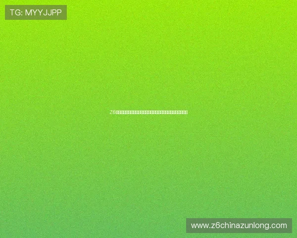Z6网址娱乐的未来发展方向与创新策略分析助力用户把握行业新机遇