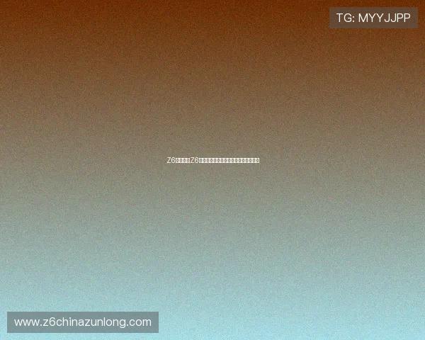 Z6就是博:Z6在性能与品质方面的卓越表现详尽分析